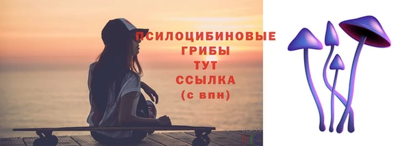 твердый Алексеевка