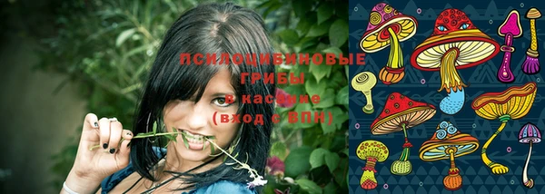 дживик Алзамай