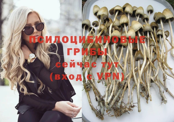 дживик Алзамай